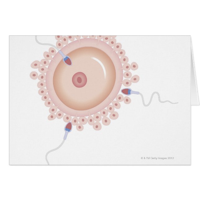 Sperm Containing Mutated Gene (Front Horizontal)
