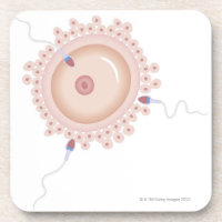 Sperm Containing Mutated Gene