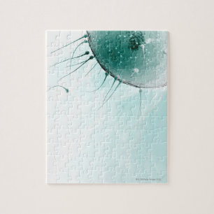 Sperm Fertilising an Ovum. Jigsaw Puzzle