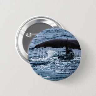 Sperm Whale 2 Inch Round Button