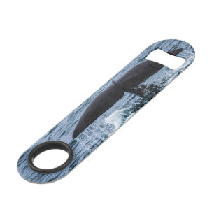 Sperm Whale Bar Key