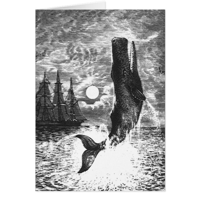 Sperm Whale Breaching, Vintage Marine Life Animals (Front)