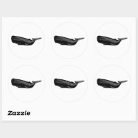SPERM WHALE