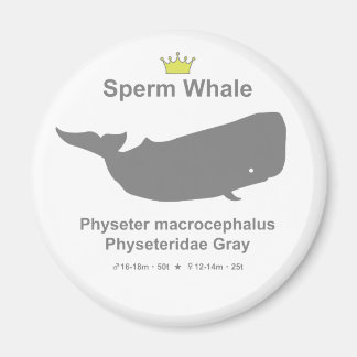 Sperm Whale g5 Magnet