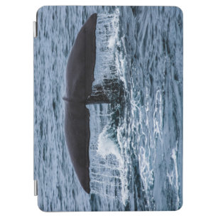 Sperm Whale iPad Air Cover
