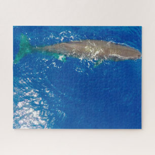 Sperm Whale Jigsaw Puzzle