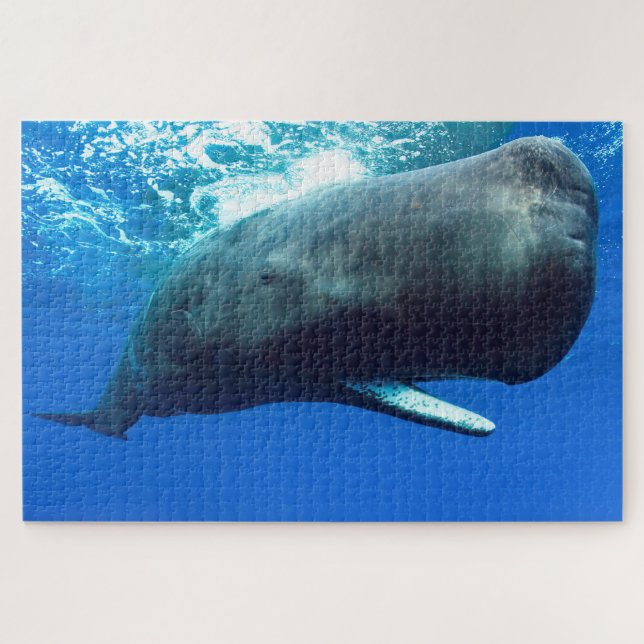 Sperm Whale Jigsaw Puzzle (Horizontal)