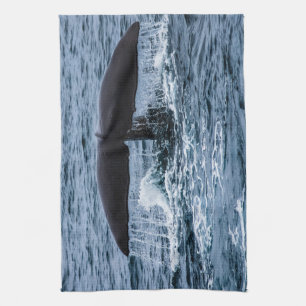 Sperm Whale Kitchen Towel