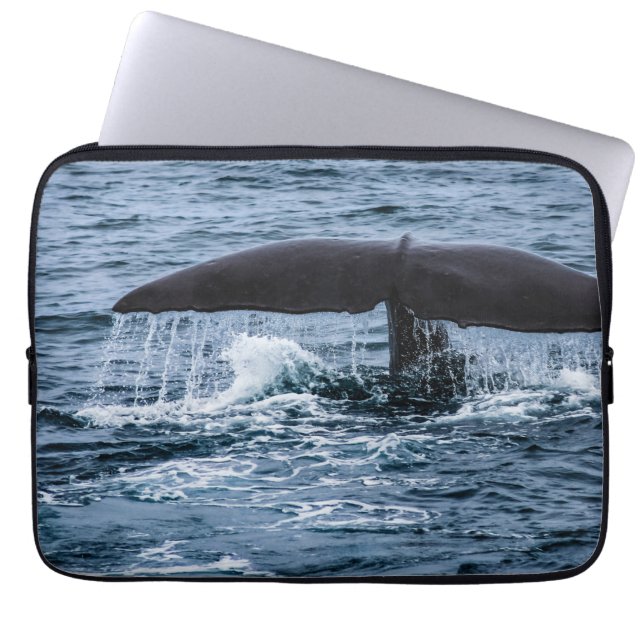 Sperm Whale Laptop Sleeve (Front)