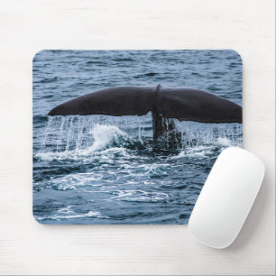 Sperm Whale Mouse Pad