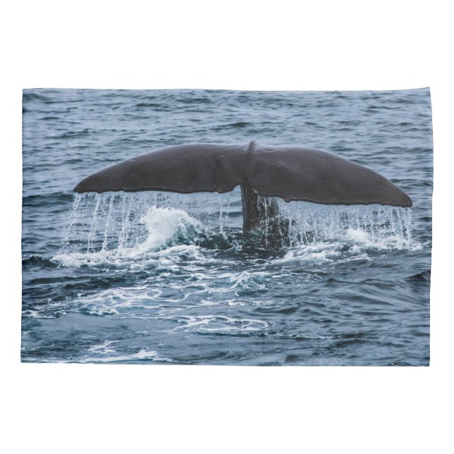 Sperm Whale Pillowcase (Back)