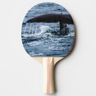 Sperm Whale Ping Pong Paddle