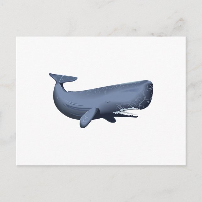 SPERM WHALE POSTCARD (Front)