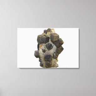 Spessartite in Matrix Canvas Print