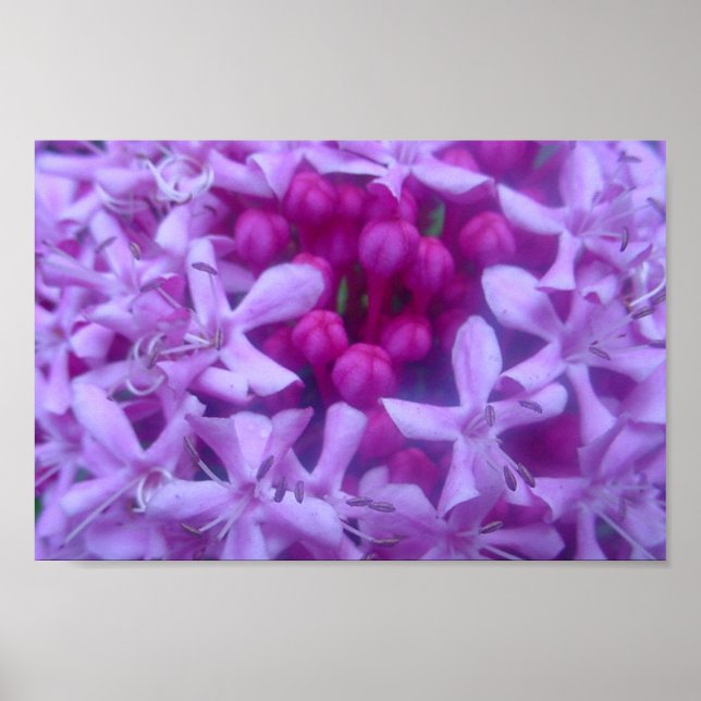 Sphere of Purple Poster (Front)