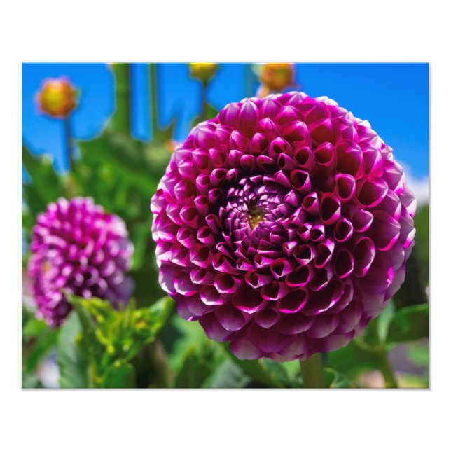 Spherical Photo Print (Front)