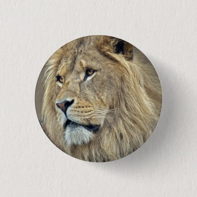 Sphinx Badge 1 Inch Round Button (Front)