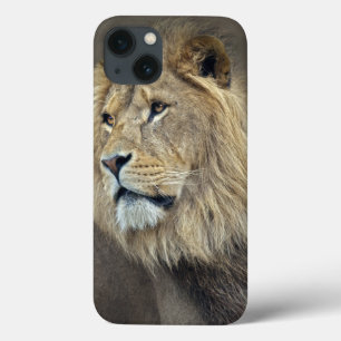 Sphinx iPad Case