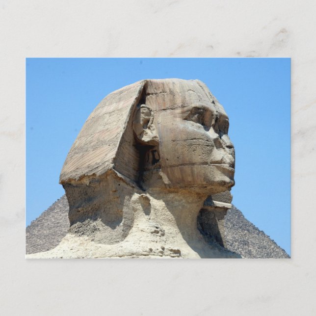 sphinx profile postcard (Front)
