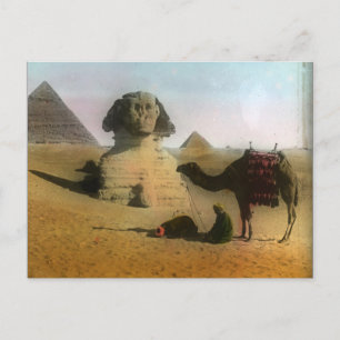 Sphnix and Pyramid Postcard