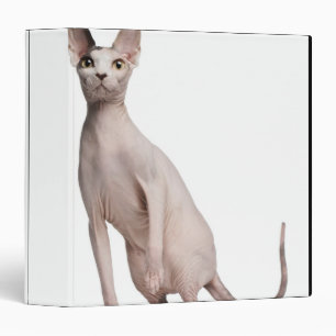 Sphynx (13 months old) binder