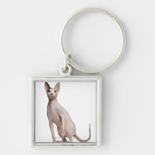 Sphynx (13 months old) keychain