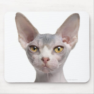 Sphynx (7 months old) mouse pad