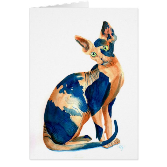 Sphynx Cat 6 (Front)