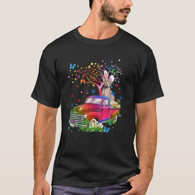 Sphynx Cat Bunny Truck Hunting Eggs Tree Easter Da T-Shirt (Front)