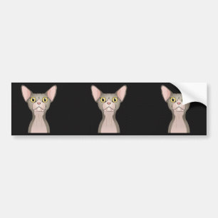 Sphynx Cat Cartoon (Bicolor) Bumper Sticker