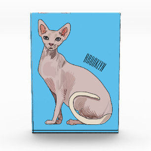 Sphynx cat cartoon illustration  photo block