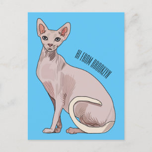 Sphynx cat cartoon illustration  postcard