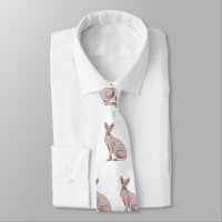 Sphynx cat cartoon illustration