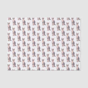 Sphynx cat cartoon illustration  tissue paper