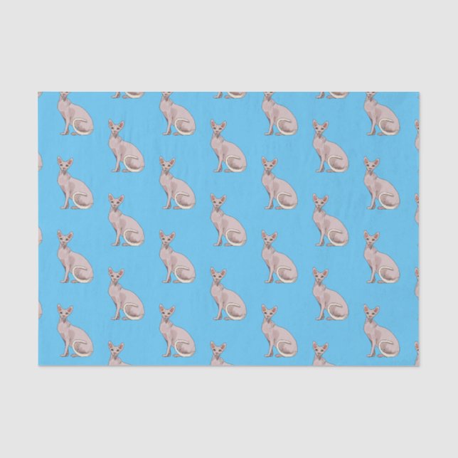 Sphynx cat cartoon illustration  tissue paper (Front)