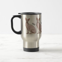 Sphynx cat cartoon illustration