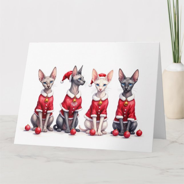 Sphynx Cat Christmas Dress Santa Hat Card (Front)