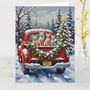 Sphynx Cat Christmas Red Truck Holiday Card