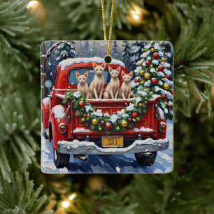 Sphynx Cat Christmas Red Truck Holiday Ceramic Ornament