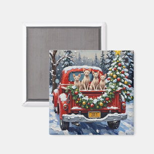 Sphynx Cat Christmas Red Truck Holiday Magnet