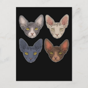 Sphynx Cat Gift For Men Sphynx Cat Postcard