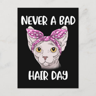 Sphynx Cat Gifts For Women And Men Sphynx Cat Postcard