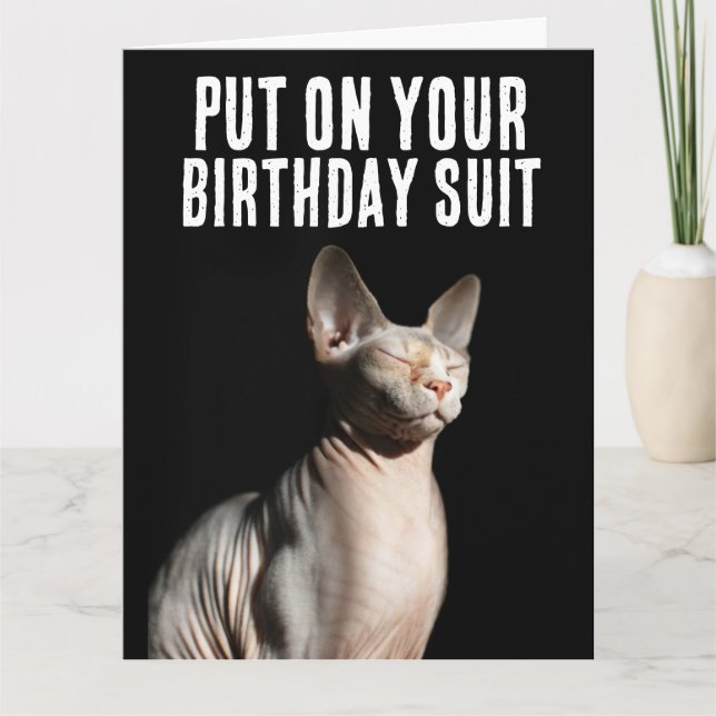 SPHYNX CAT HAIRLESS CAT funny cute Greeting Card (Front)