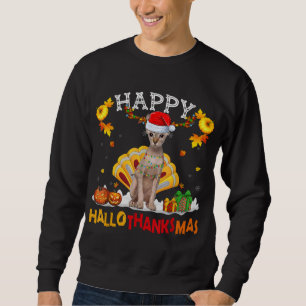 Sphynx Cat Halloween Thanksgiving Christmas Hallot Sweatshirt