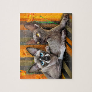 Sphynx cat jigsaw puzzle