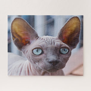 Sphynx Cat. Jigsaw Puzzle
