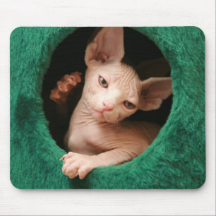 Sphynx Cat Mousepad   GoSphynx.com