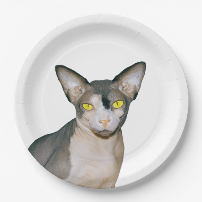 Sphynx Cat Ninja Rex Cats Cat Party white Paper Plate (Front)