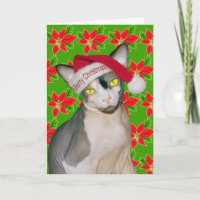 Sphynx Cat Ninja Santa Christmas Holi Green