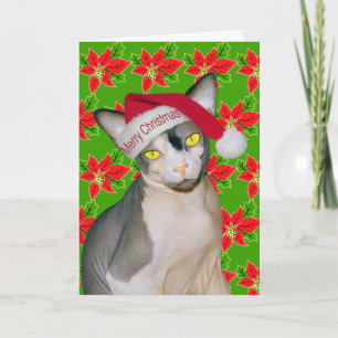 Sphynx Cat Ninja Santa Christmas Holi Green Card